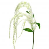 Decostar™ Artificial Flower Spray 46"   White