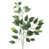 Artificial Ficus Leaf Stem (12 stems) - 21" x 34"