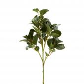 Artificial Green Stem Plant - 26"