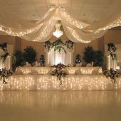 Starlight Lighting Kit  - 4 Strands of Lights Recommended for 8 Panel Ceiling Draping Kit