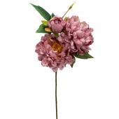 Artificial 3 Head Peony Stem 24" - Mauve