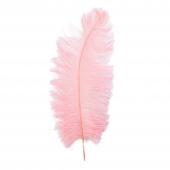 Ostrich Feather 23" 10pc/bag - Blush