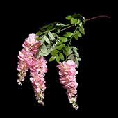 Artificial Drooping Delphinum Flower Pink