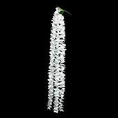 Artificial Wisteria Flower Stem White