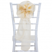 DecoStar™ 9" Sheer Flower Chair Accent - Champagne