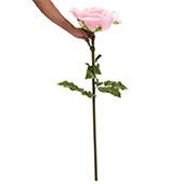 Jumbo Rose 44" - Pink