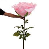 Jumbo Rose 65" - Pink