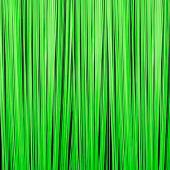 Neon Green - Fringe Curtain - Many Size Options