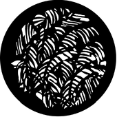 Jungle Leaves - Stock Gobo for Gobo Light Projectors - Choose your size!