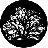 Tree 3 - Stock Gobo for Gobo Light Projectors - Choose your size!