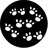 Paws - Stock Gobo for Gobo Light Projectors - Choose your size!