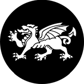 Dragon - Stock Gobo for Gobo Light Projectors - Choose your size!