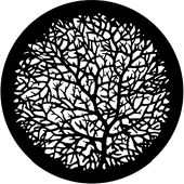 Bare Branches 2 - Stock Gobo for Gobo Light Projectors - Choose your size!