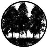 Tree Silhouette 2 - Stock Gobo for Gobo Light Projectors - Choose your size!