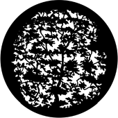 Tree 7 - Stock Gobo for Gobo Light Projectors - Choose your size!
