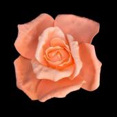 8" DecoStar™ Sweet Rose Foam Flower -  Peach/Light Pink